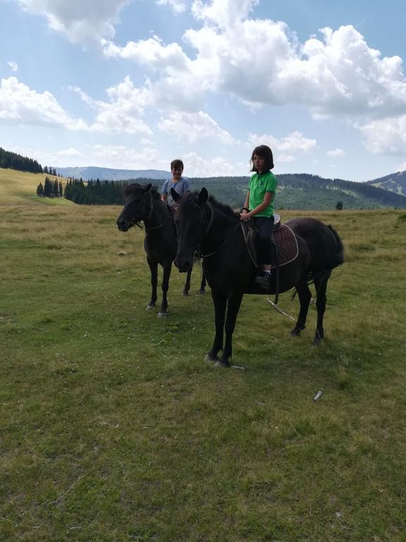 Pensiunea Catalina Moldova Sulita 외부 사진