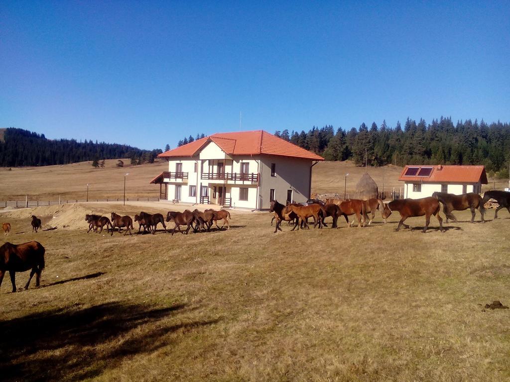 Pensiunea Catalina Moldova Sulita 외부 사진